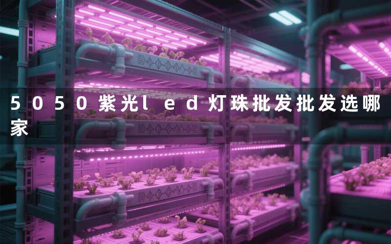 5050紫光led灯珠批发（批发选哪家）